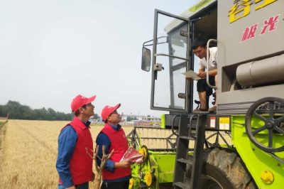 河北電力簡訊：芒種忙忙割，農(nóng)家樂啟鐮