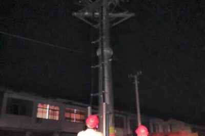 10kⅤ線路柱上開關、變壓器樁頭、高壓線路導線搭頭處等進行紅外測溫