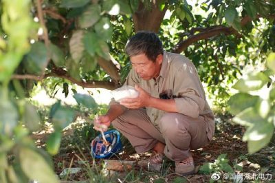 全速搶修被風(fēng)災(zāi)折彎的35千伏宏發(fā)紙業(yè)線(xiàn)30-34號(hào)鐵塔