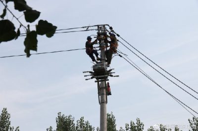 東阿縣供電公司新架設(shè)電桿5基、絕緣導(dǎo)線1000米
