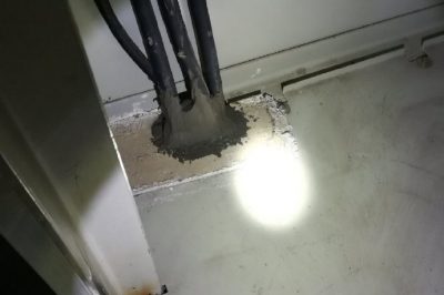 小動物，變電站非請勿來