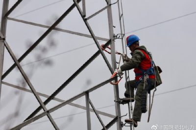 鄂州供電公司爬上鐵塔清理鳥(niǎo)巢
