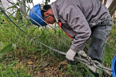 肇事拉線傷、電工搶修忙