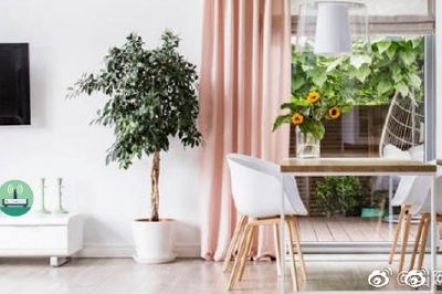 你家這位“偷電大盜”，每個月偷10度電呢