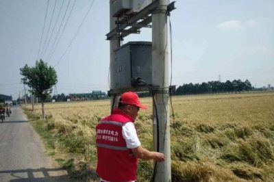 保供電#喜看稻菽千重浪，電力小哥巡視忙 “安全豐收”
