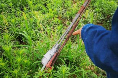 重點(diǎn)檢查防撞標(biāo)識(shí)、接點(diǎn)測(cè)溫、螺栓及拉線松動(dòng)