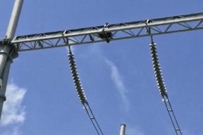 變電設(shè)備上有鳥巢，咋整？