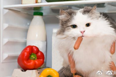 電冰箱省電良方，走過路過別錯過??！