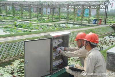 國(guó)網(wǎng)南京市江北新區(qū)供電公司安裝變壓器、環(huán)網(wǎng)柜、配電箱等配電設(shè)備