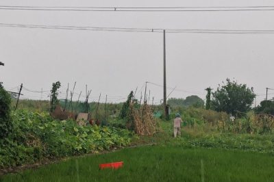 遭遇龍卷風(fēng)突襲10千伏清東線發(fā)生倒桿、斷線事故