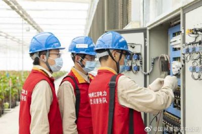 為大棚電力線路、電氣化設(shè)備進(jìn)行縝密排查和整改消缺