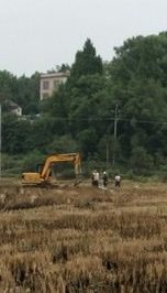 大路坪供電所農(nóng)改施工隊在新建蕉林村東洋灣臺區(qū)進行立桿作業(yè)