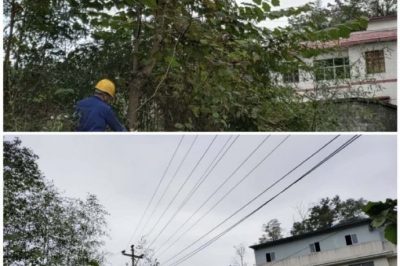 對(duì)10千伏禾臘線消水坨臺(tái)區(qū)、石家寨臺(tái)區(qū)進(jìn)行巡視