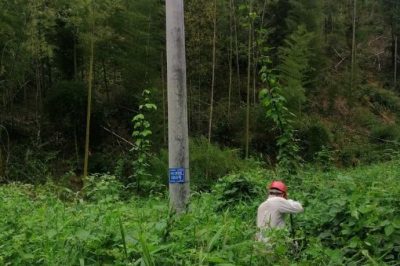 配電運(yùn)行員清理10千伏黃陶線#1050號桿通道內(nèi)的藤蔓和樹障