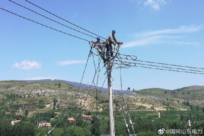 對10千伏西崖線開展綜合檢修