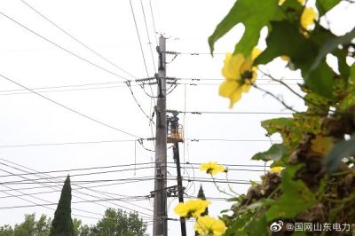 高空作業(yè) 保障電網(wǎng)穩(wěn)定運(yùn)行