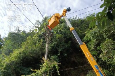 對10千伏桐冷線巡視