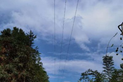 所轄范圍的輸電線路開展砍青掃障工作