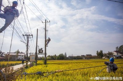 對停電范圍內(nèi)的線路進行綜合檢修