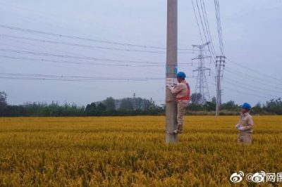 對轄區(qū)內(nèi)農(nóng)田邊的所有的線路進行診斷性巡視