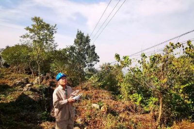 無人機配電線路巡檢 智能技術(shù)保障電網(wǎng)安全