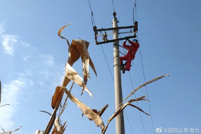 對10千伏春興線海防支線進行清掃、檢修