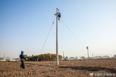 對10千伏姚占線進行升級改造