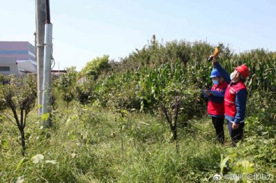 到10千伏文安032線為電力設(shè)備紅外測溫