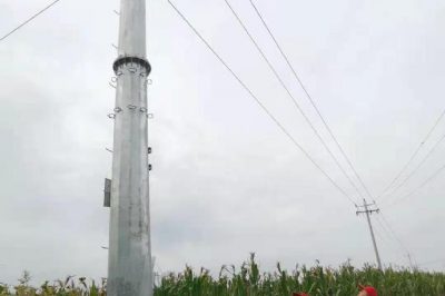 對配電變壓器、增壓開關(guān)、線路接點等進行巡視及測溫工作