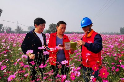 對玉山店村百畝格?；ㄋ诰€路進行全方位的巡視排查