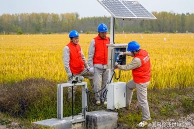 服務(wù)有機(jī)水稻農(nóng)場