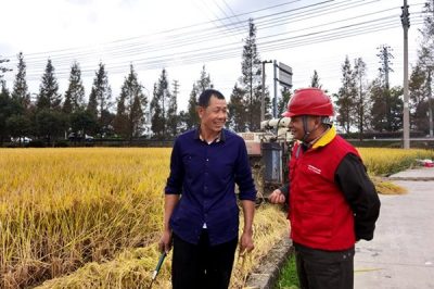 對涉農(nóng)電氣設(shè)備、線路進(jìn)行特維特巡