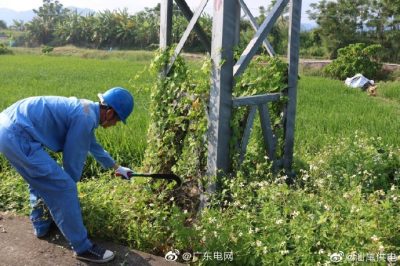 清除纏繞藤蔓，為桿塔“理發(fā)”