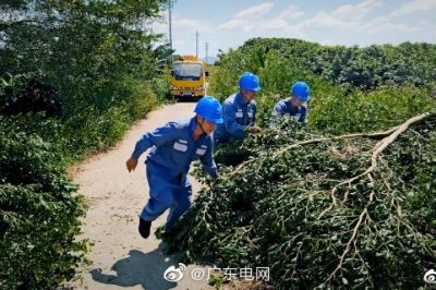 對(duì)轄區(qū)內(nèi)配網(wǎng)線路進(jìn)行特殊巡視