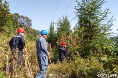 黨員擔(dān)模范 護航穩(wěn)供電