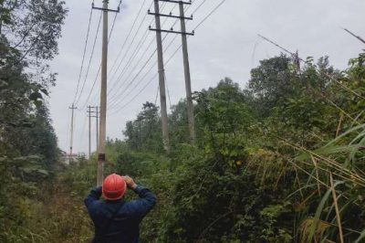對10千伏長珠線進行缺陷、隱患排查工作