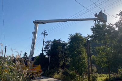 在10千伏官坪線46-49號桿附近進(jìn)行帶電砍青