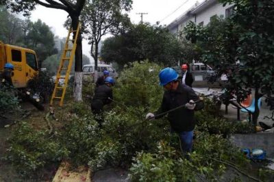 開展通道治理“百日攻堅”活動