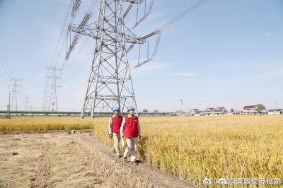 特巡“泰吳線”確保進(jìn)博會可靠供電