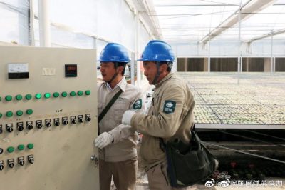 供電員工巡查現(xiàn)代化農(nóng)業(yè)園