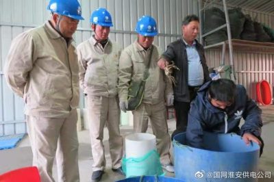 經(jīng)現(xiàn)場檢查為插排電線破損漏電引起家用保護器動作停電