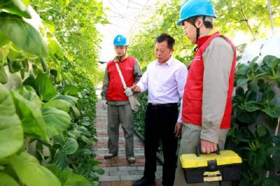 農(nóng)村配網(wǎng)改造推動(dòng)農(nóng)業(yè)轉(zhuǎn)型升級(jí)