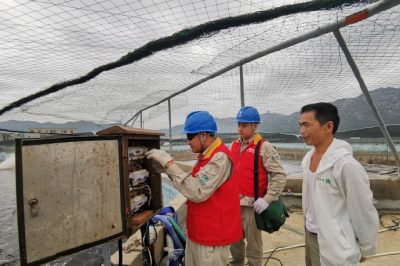 對寶應(yīng)湖農(nóng)場一大隊2號綜合變共54戶表計進行更換，