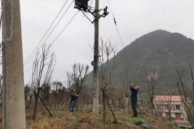 農(nóng)電檢修人員對小石線、高石線等10千伏線路進(jìn)行集中巡視測溫