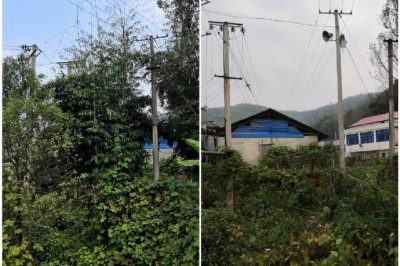 對所轄區(qū)域內(nèi)6條10千伏線路通道再次進行巡視