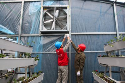 開展用電設備檢查和安全知識宣傳工作